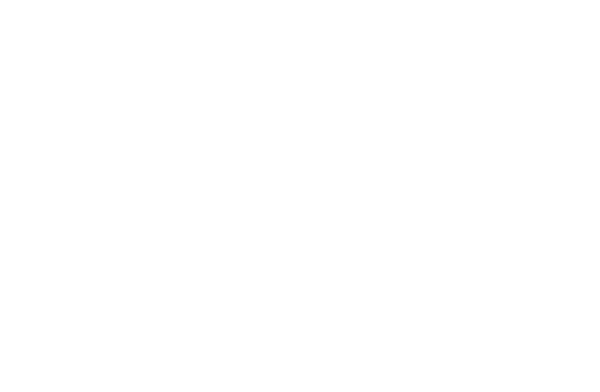 vanroekel_puma-safety_logo