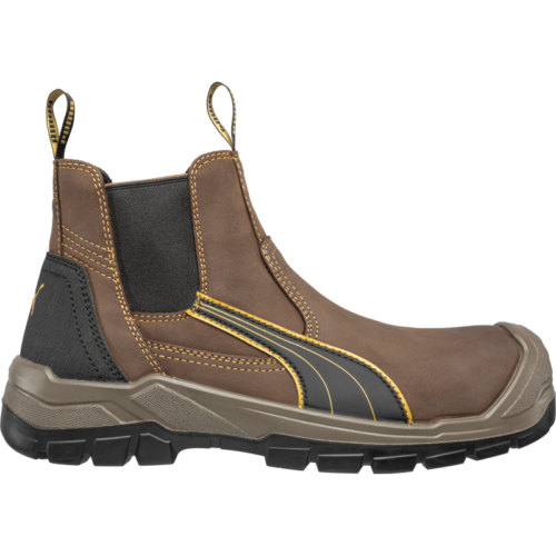 Puma_Tanami_Stalen_Neus_bruin